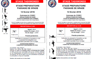 Stage préparatoire TKD