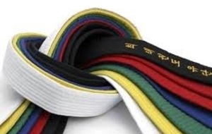 Passage de grade TKD