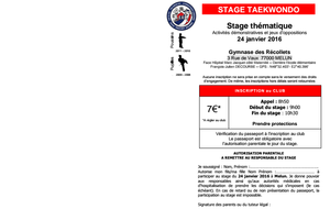 Stage Taekwondo - Poussins Pupilles