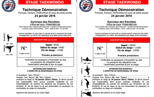 Stage Taekwondo