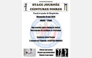 Stage Journée Ceintures Noires