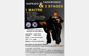 Stage Taekwondo Hapkido