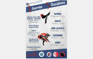 stage multi-discipline